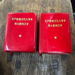 無產(chǎn)階級文化大革命偉大勝利萬歲上下冊