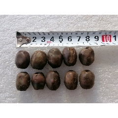 石頭珠子_