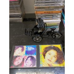 王靖雯，2CD，93/94新