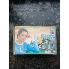 收留（童安格）_