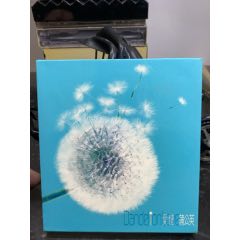 愛(ài)情蒲公英，2CD，94/95新