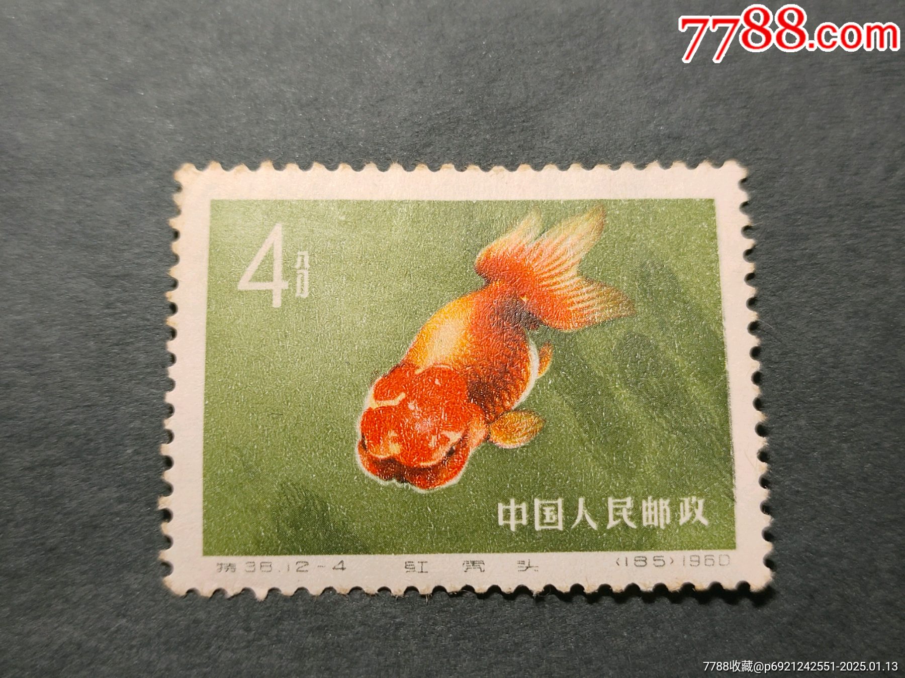 特38金魚(12-4)新一枚原膠品如圖_價格57元_第1張_