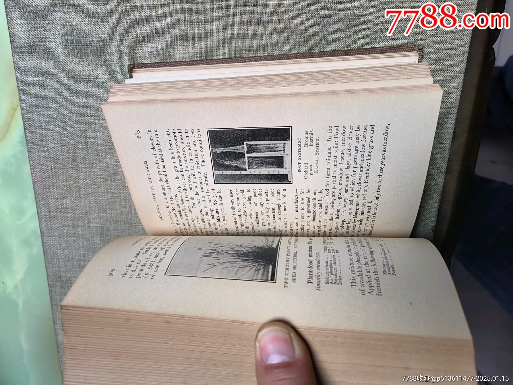 1919年書(shū)本（外文，書(shū)名翻譯不保準(zhǔn)確）_價(jià)格50元_第10張_