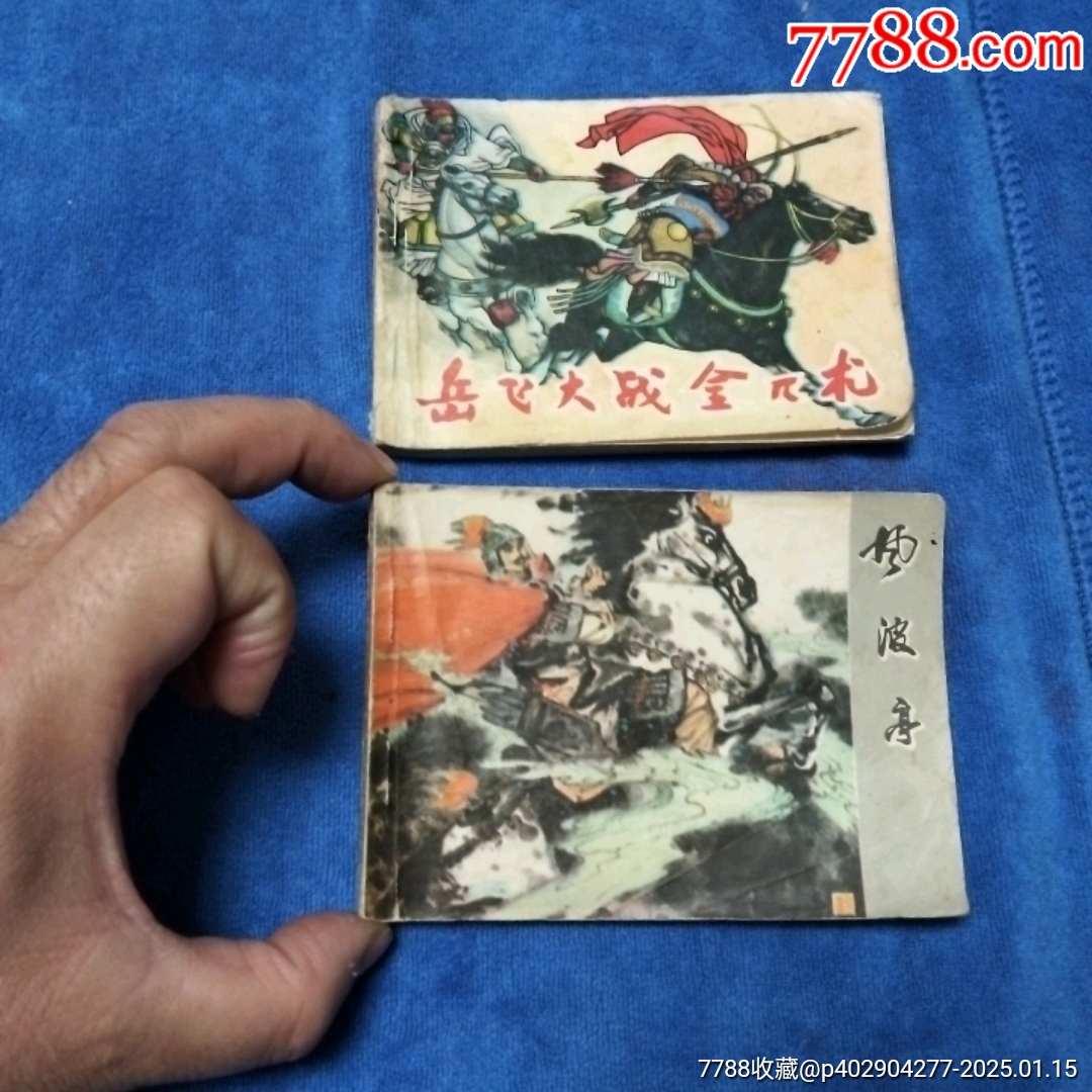 黑龍江版《岳飛傳，2本合售》自定品_價格15元_第1張_