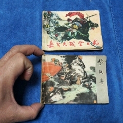 黑龍江版《岳飛傳，2本合售》自定品