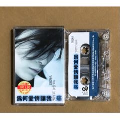 潘美辰…為何愛(ài)情讓我痛（新馬版）