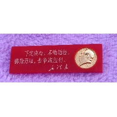 橫條塑料有機(jī)玻璃毛主席像章