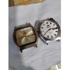 雙獅合拍