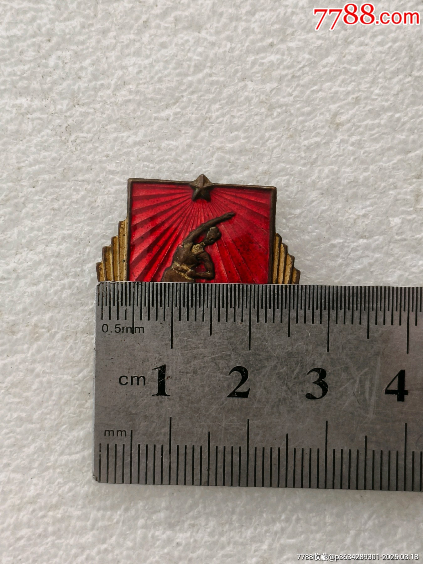 體育積極分子，西城_價格300元【羊兒小店】_第9張_