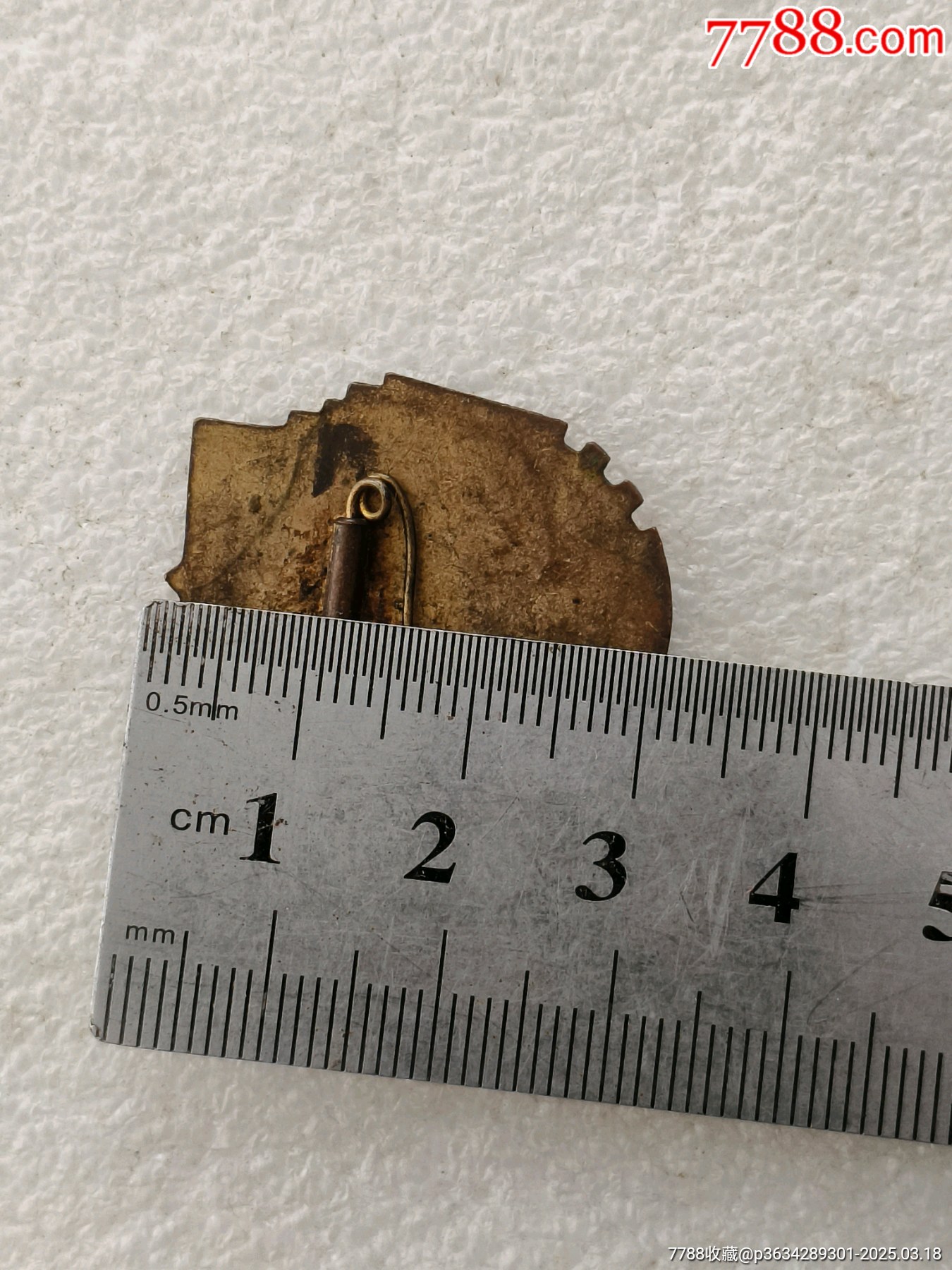 體育積極分子，西城_價格300元【羊兒小店】_第10張_