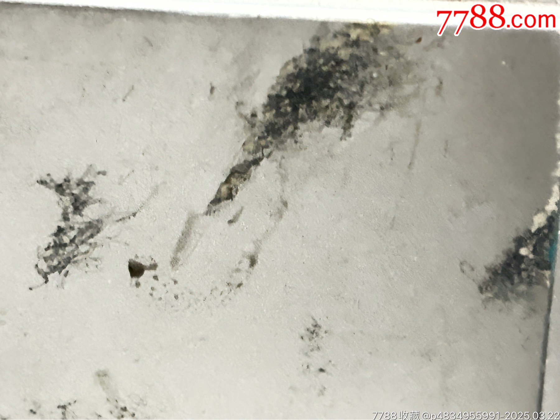 夏普777_價格1107元_第23張_