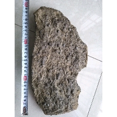 天然化石一大塊(au40792520)_鞏昌雄鎮(zhèn)