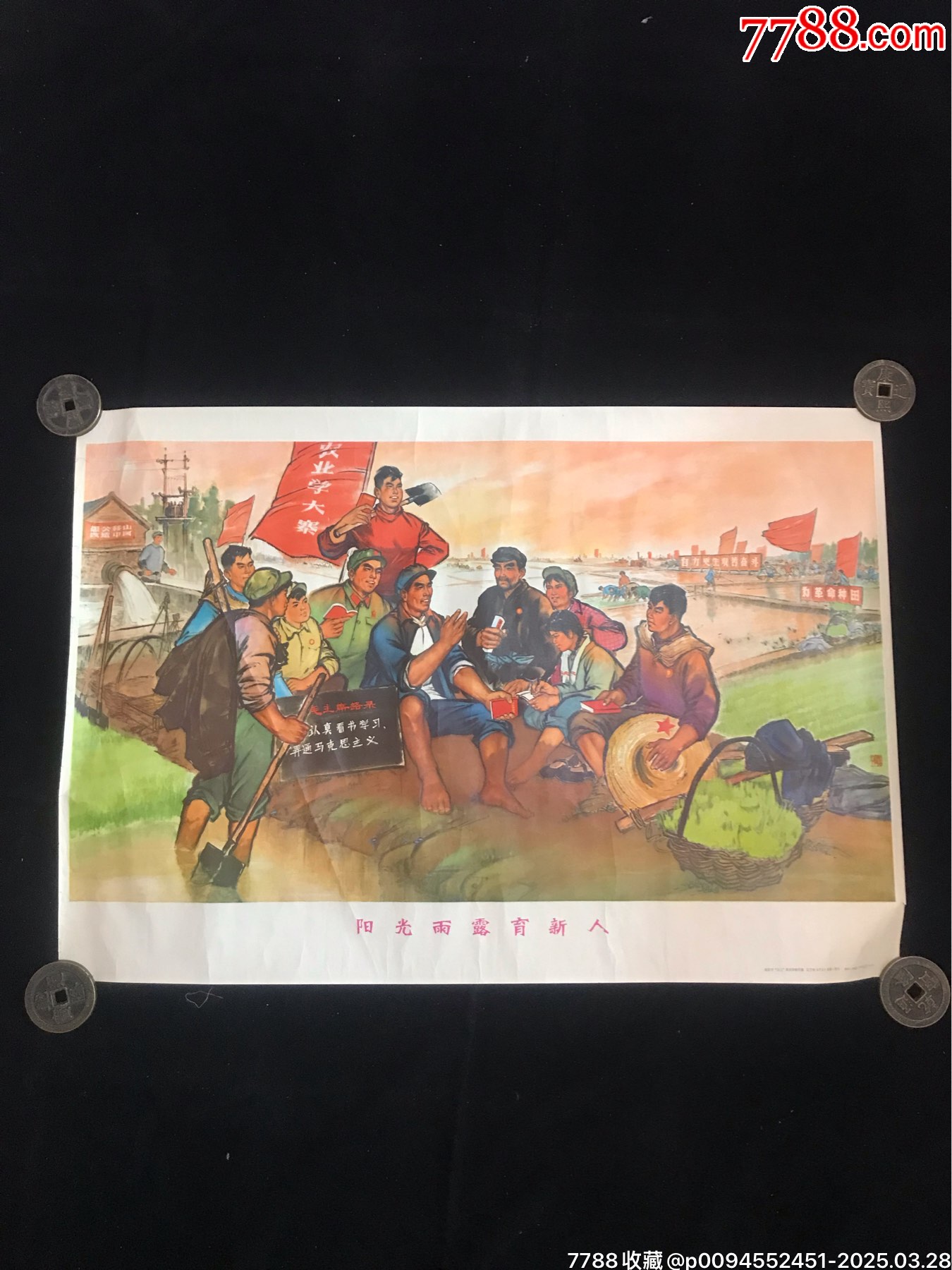 71年遼寧出版陽光雨露育新人（仔細(xì)閱圖看簡介）_價(jià)格176元_第1張_