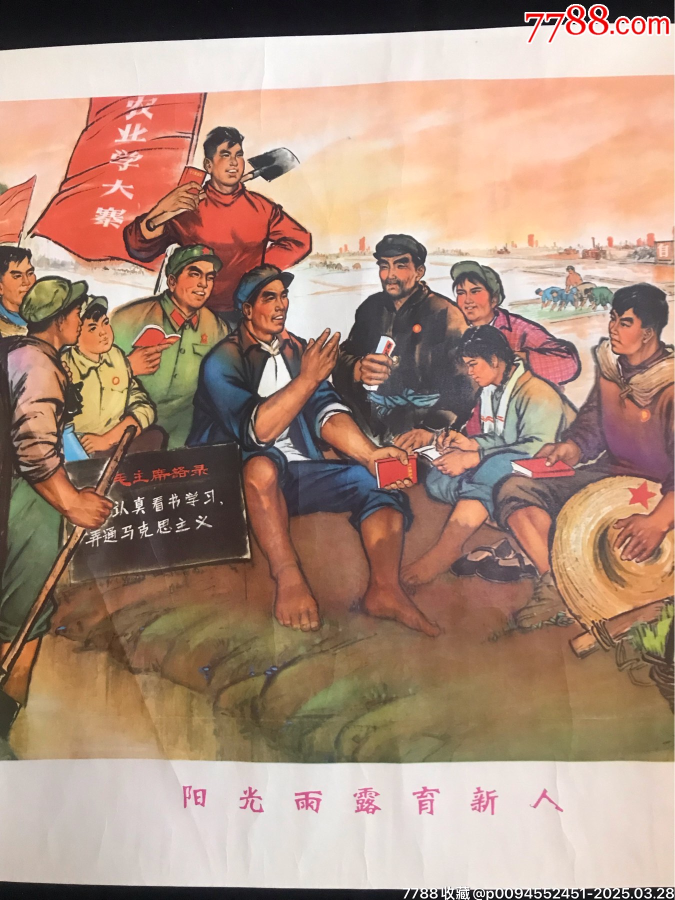 71年遼寧出版陽光雨露育新人（仔細(xì)閱圖看簡介）_價(jià)格176元_第3張_