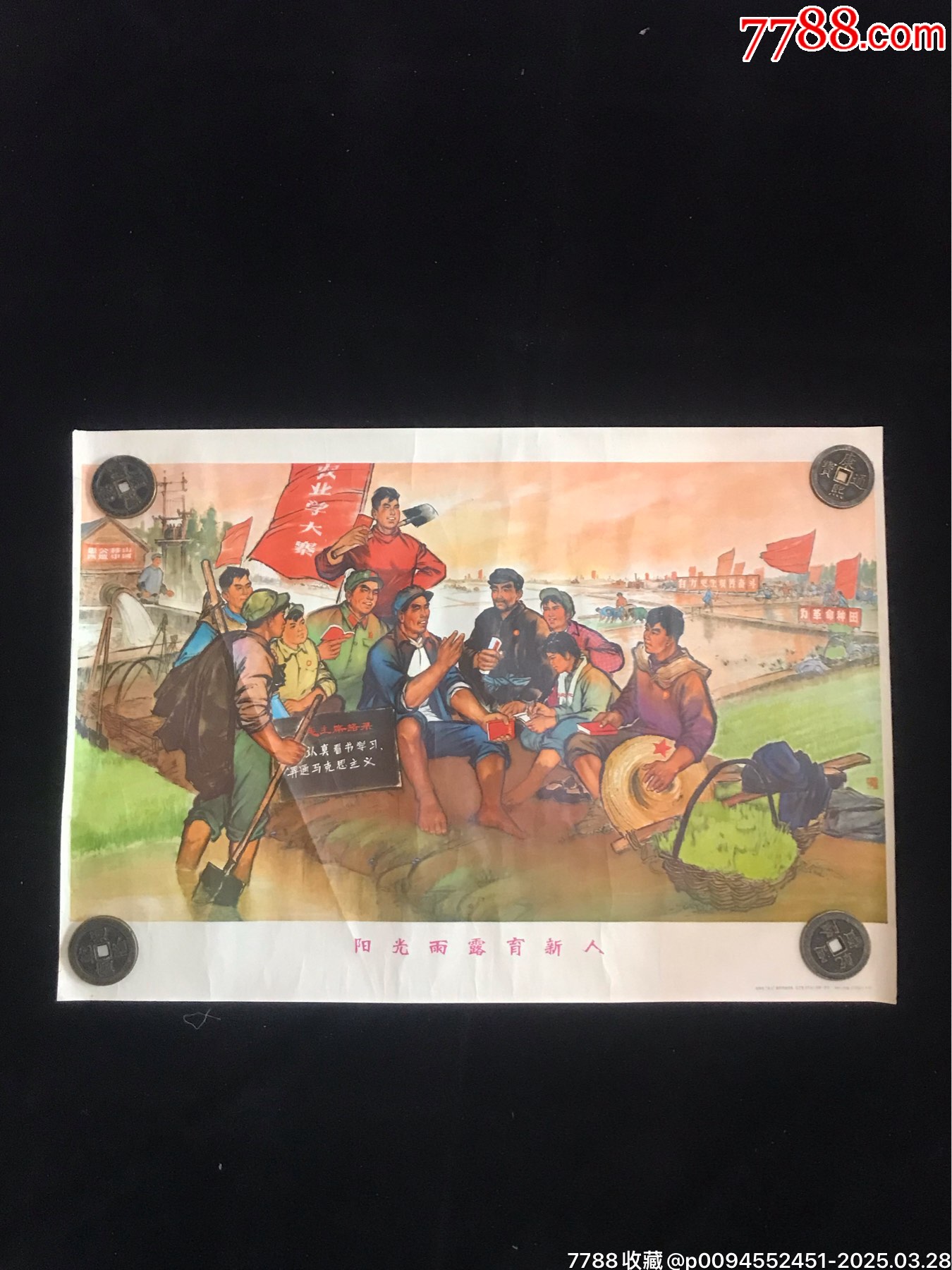 71年遼寧出版陽光雨露育新人（仔細(xì)閱圖看簡介）_價(jià)格176元_第9張_