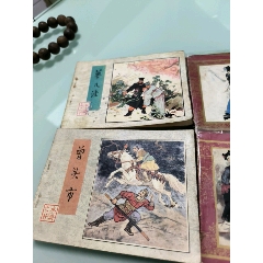 紅樓夢(mèng)兩本，水滸兩本。