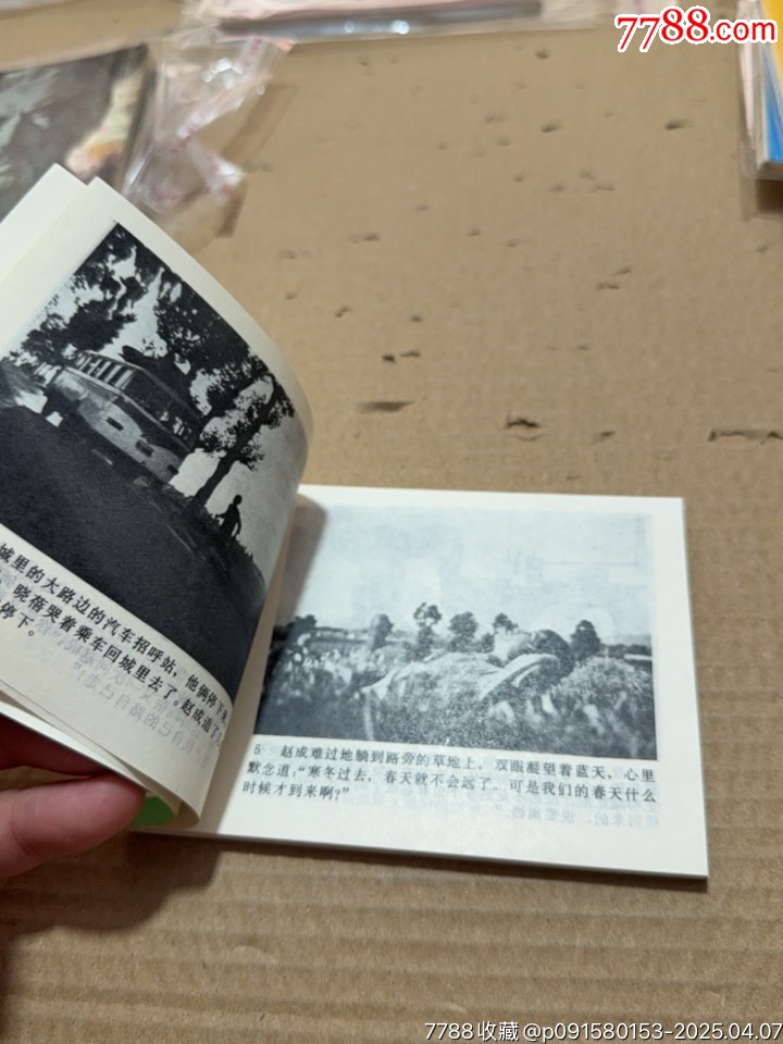 遲到的春天_價(jià)格20元【文成有緣人】_第9張_