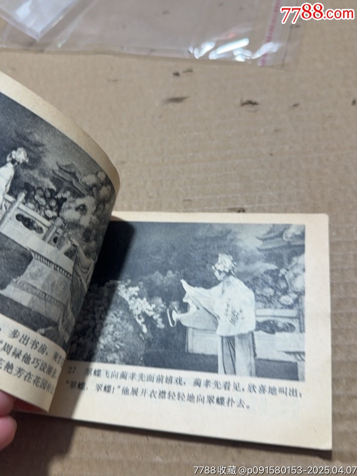 翠蝶仙子_價(jià)格10元【文成有緣人】_第5張_