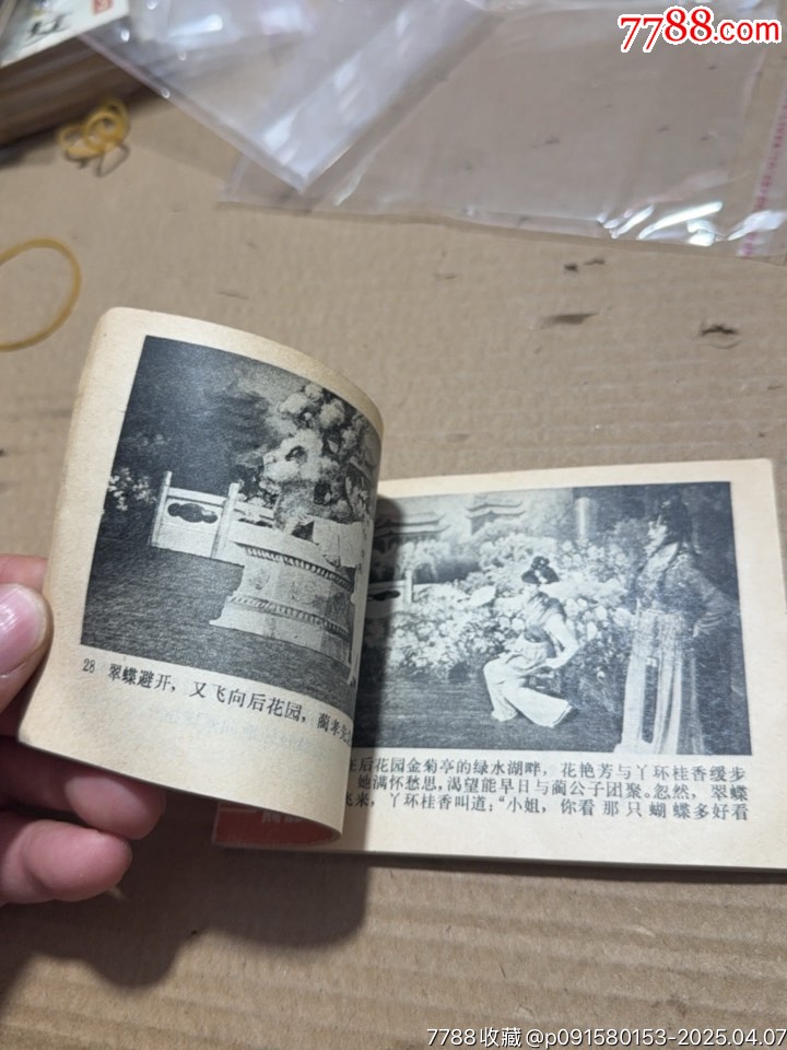翠蝶仙子_價(jià)格10元【文成有緣人】_第8張_