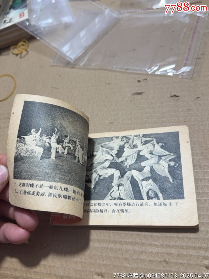 翠蝶仙子_價(jià)格10元【文成有緣人】_第12張_