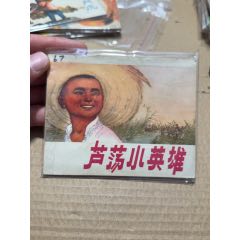 蘆蕩小英雄