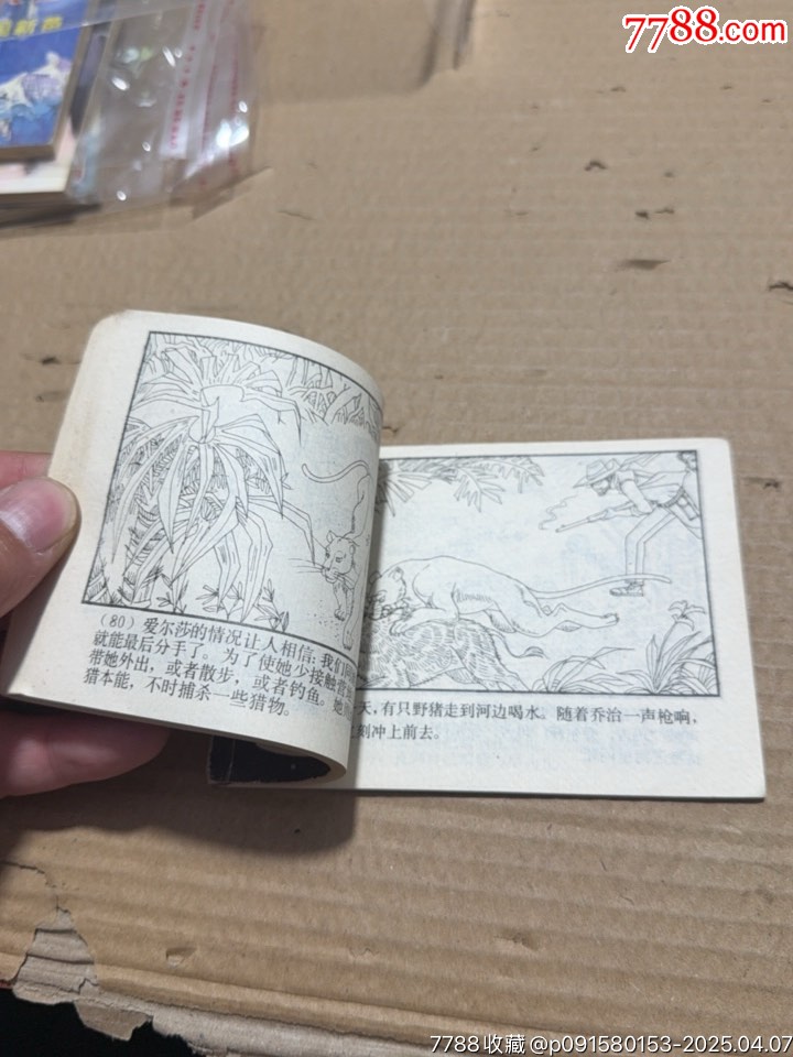 野生的愛爾莎_價(jià)格10元【文成有緣人】_第8張_