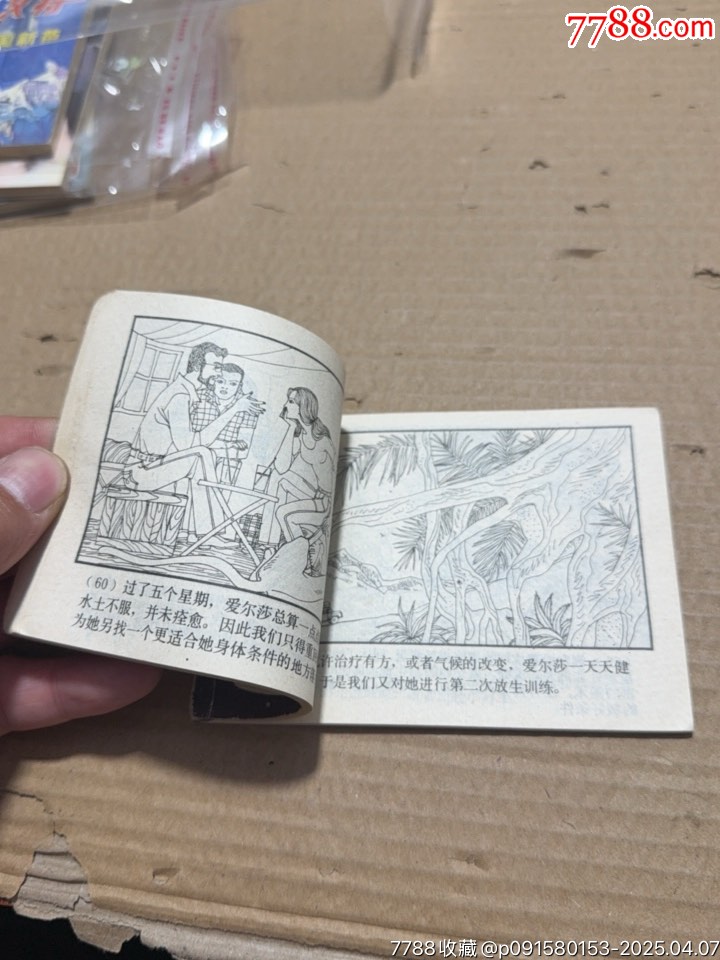 野生的愛爾莎_價(jià)格10元【文成有緣人】_第9張_