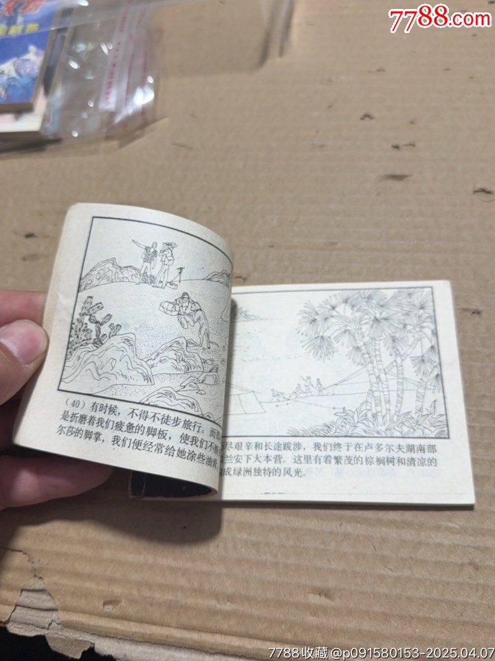 野生的愛爾莎_價(jià)格10元【文成有緣人】_第10張_