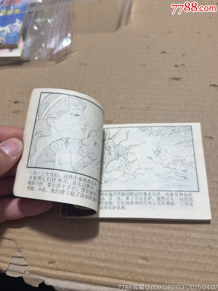 野生的愛爾莎_價(jià)格10元【文成有緣人】_第13張_