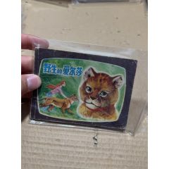 野生的愛爾莎