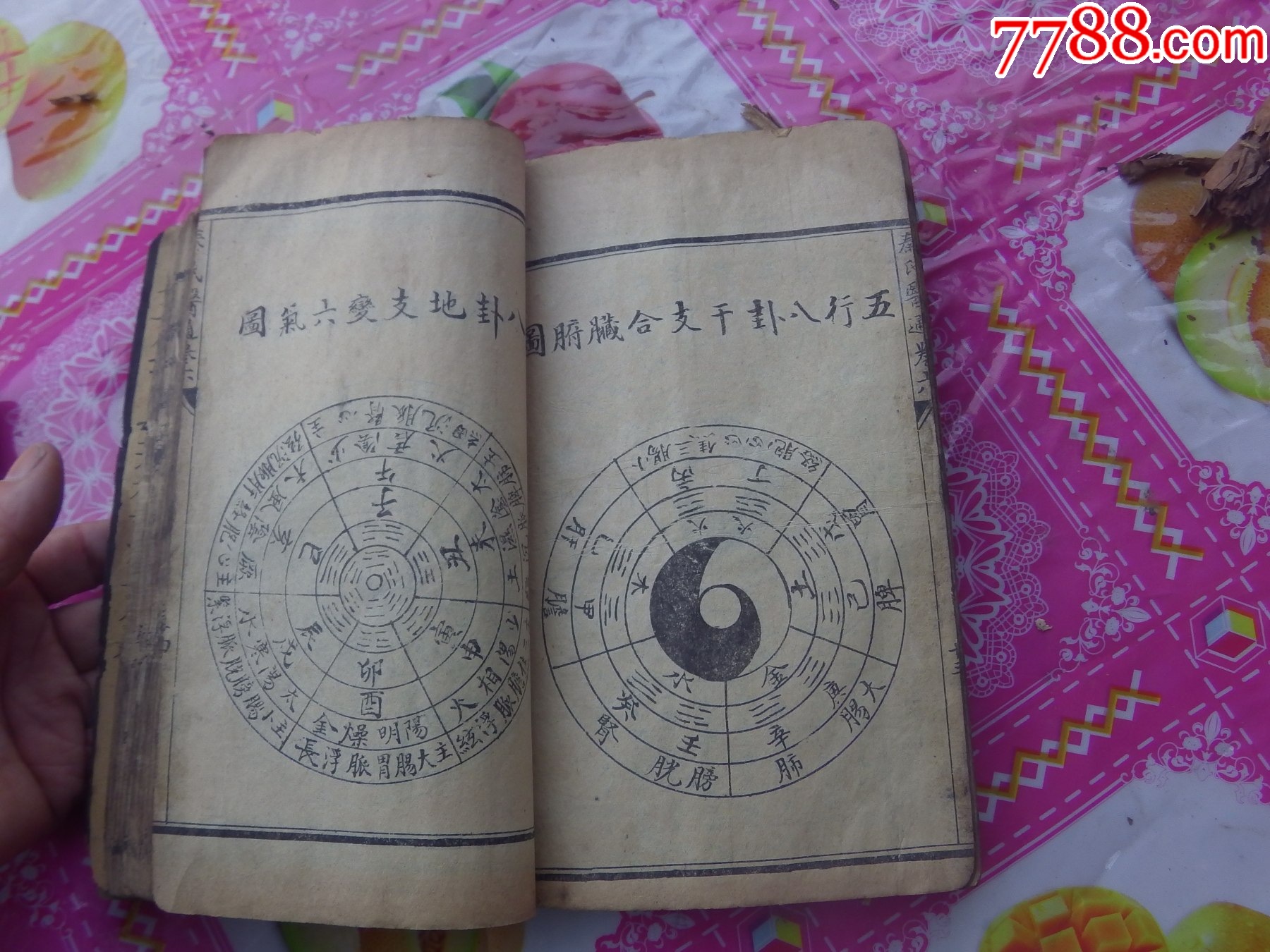 秦氏醫(yī)通八卷全合訂一冊(cè)._價(jià)格8161元_第19張_