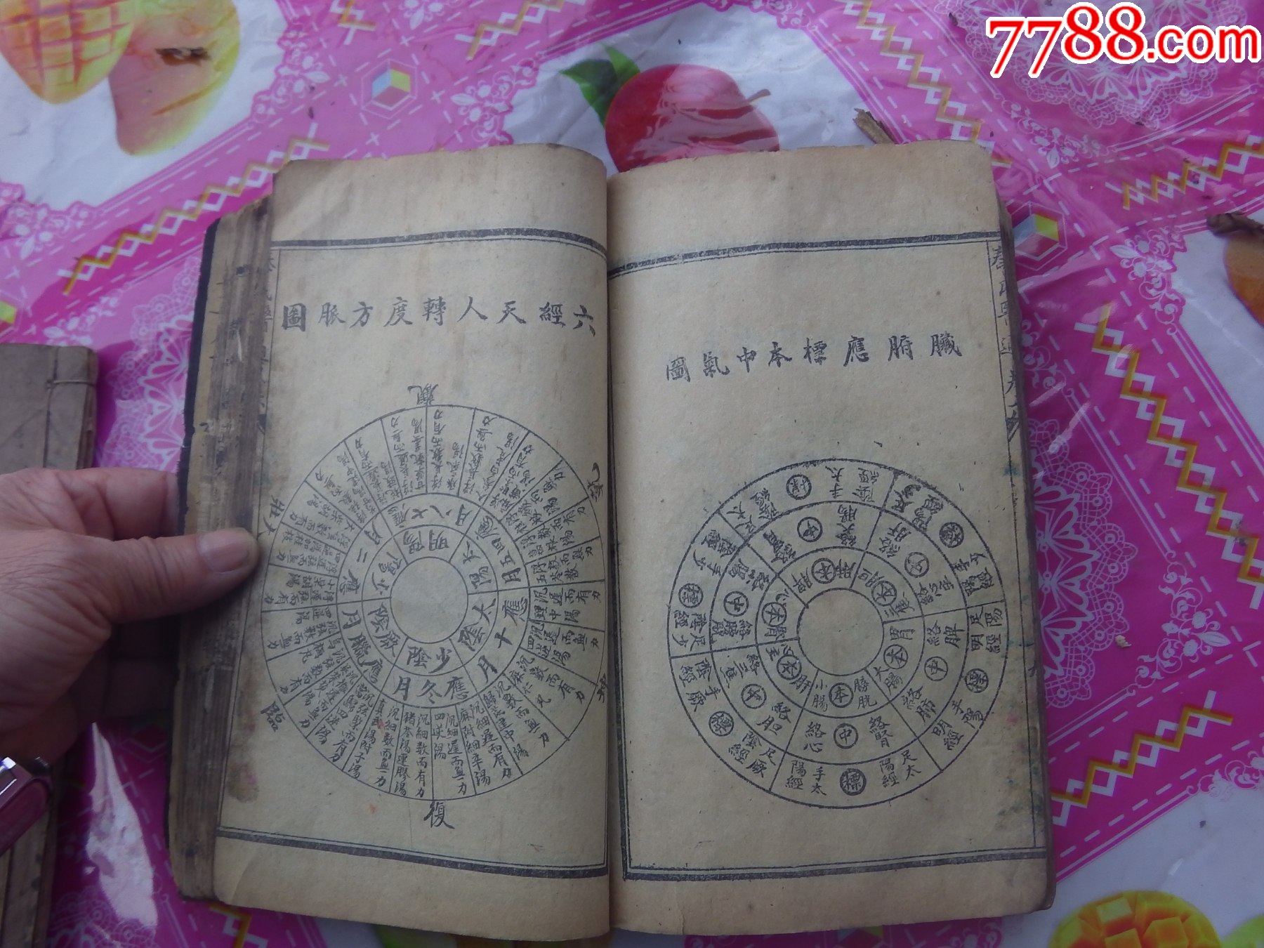 秦氏醫(yī)通八卷全合訂一冊(cè)._價(jià)格8161元_第20張_