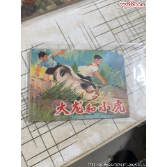 大龍和小虎_