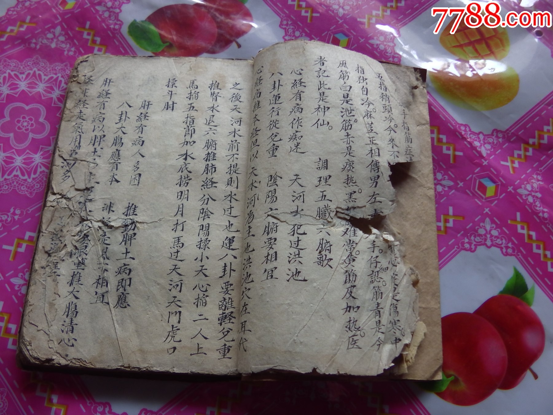 精選四季推拿小兒今風(fēng)法脈_價格1126元_第3張_