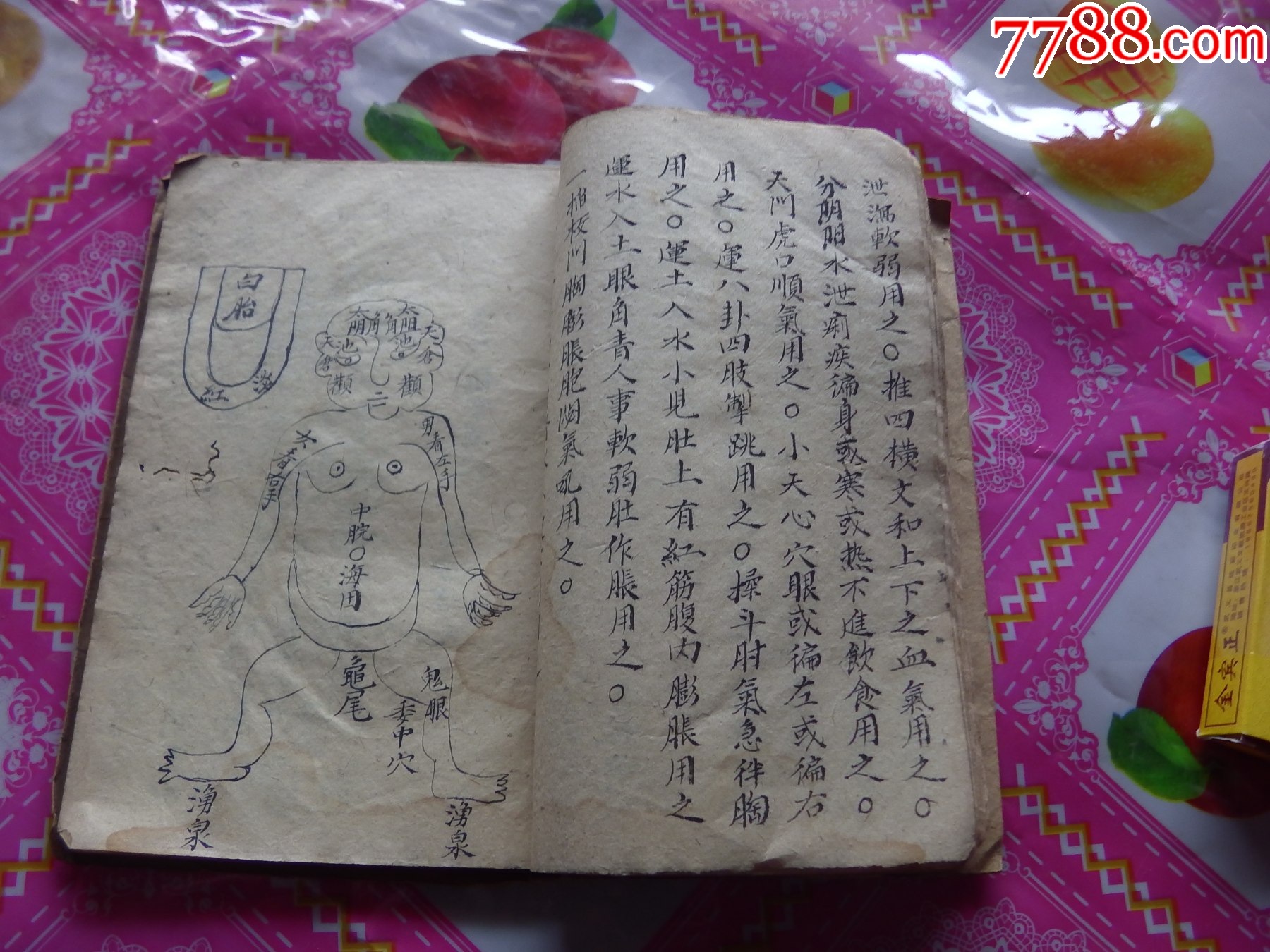 精選四季推拿小兒今風(fēng)法脈_價格1126元_第12張_