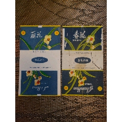 麗花，春花