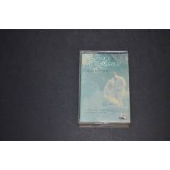 外國(guó)磁帶（八）(au40987485)