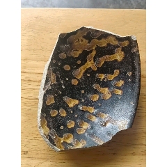 吉州窯玳＊釉瓷片_