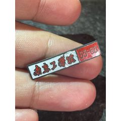 南京工學(xué)院1955-60年畢業(yè)紀(jì)念章