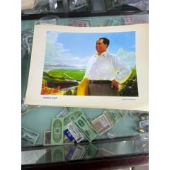 芙蓉國里盡朝暉(au41026817)_小波哥雜貨鋪