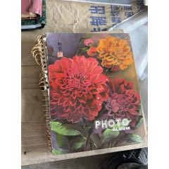 游玩老照片
