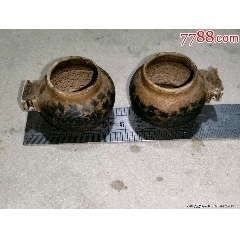 老鳥食罐鳥具合售