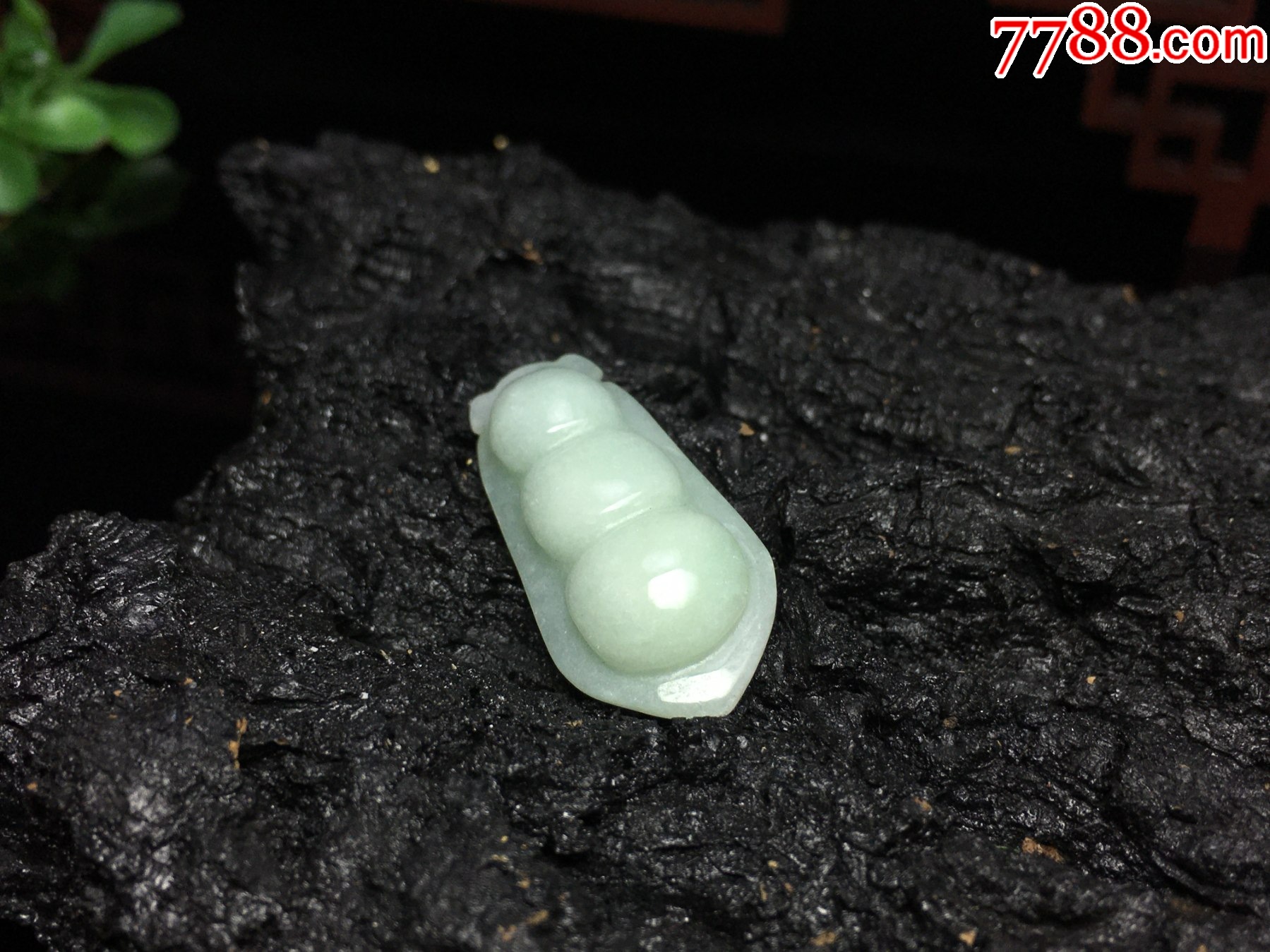 XA01天然翡翠A貨淡綠四季豆福豆吊墜_價(jià)格1元_第9張_