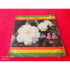 中國唱片-《山茶花》