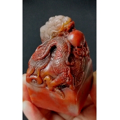 珍藏三彩凍盤龍戲珠大閑印，印文:少而好學(xué)，如日出之陽；壯而好學(xué)，如日中之光………(zc41055221)_點(diǎn)石成金印章