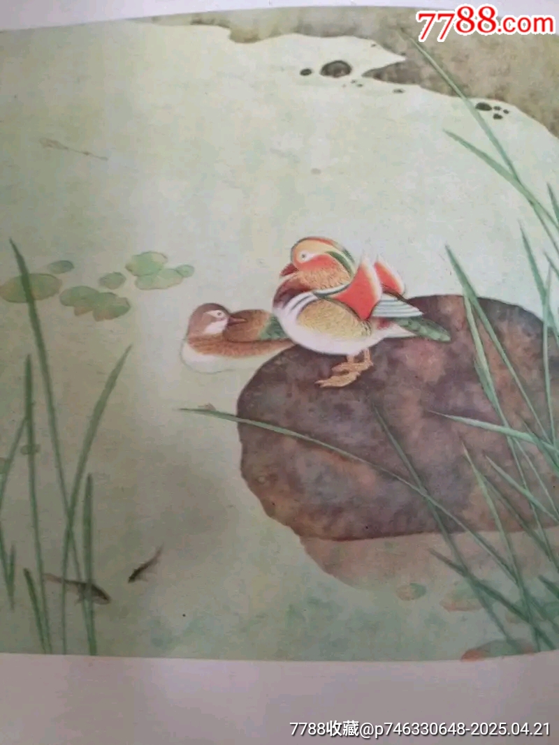 孔雀東南飛彩色版大開本_價(jià)格198元_第6張_