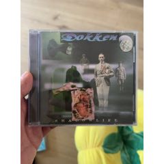 dokken