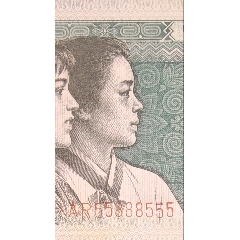 人二☆金馬王☆連環(huán)豹_