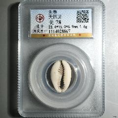 天然貝