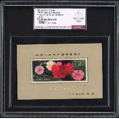 J42m山茶加字asg88分金亮全品